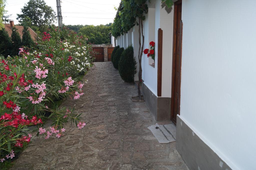 Cseresznyés Vendégház Szomolya Exterior foto